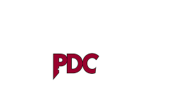 PDC BirdEye logo